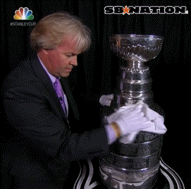  stanley cup GIF