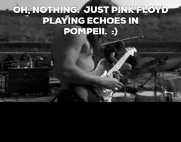 Just Pink Floyd GIF