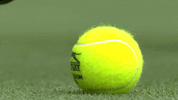 Tennis Ball GIF by Wimbledon