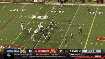 Michigan Football GIF
