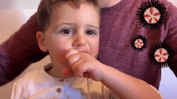 Edo GIF