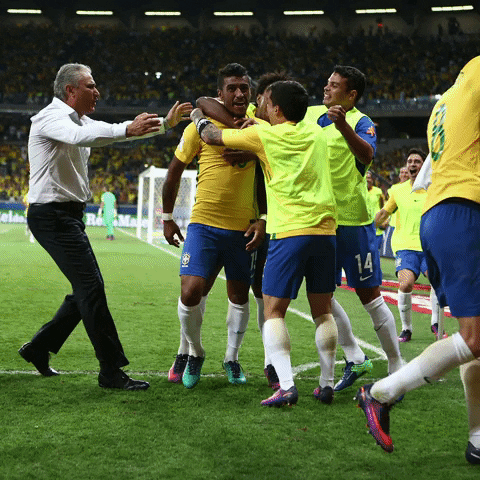 GIF by Confederação Brasileira de Futebol