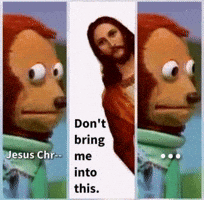 Holy Cow Omg GIF