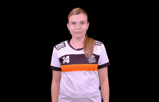 PragueTigers GIF