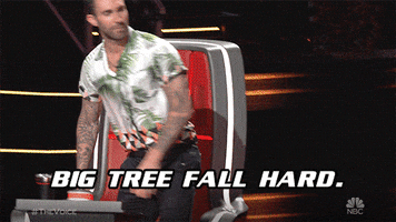 200.gif?cid=fc005b08981191e9da5594787c2ecdb312efbcfb64f0544b&rid=200.gif&ct=g