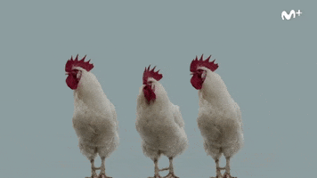 Dance Baile GIF by Movistar+