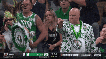 Celtics Fans GIFs on GIPHY - Be Animated