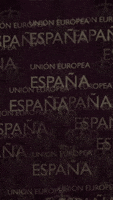 union europea espaÃ±a GIF by Golden Beards