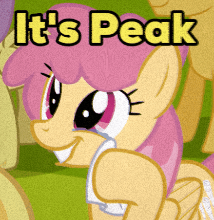 My Little Pony Its Peak GIF