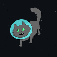 screaming space cat GIF by Sarah Schmidt