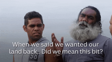 black comedy GIF by ABC Indigenous