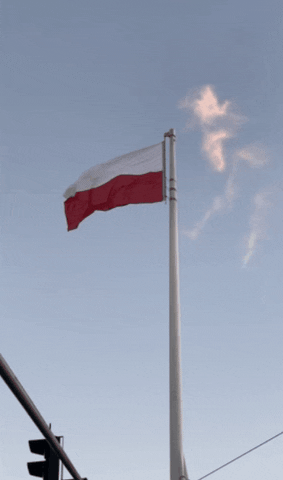 Warsaw GIF