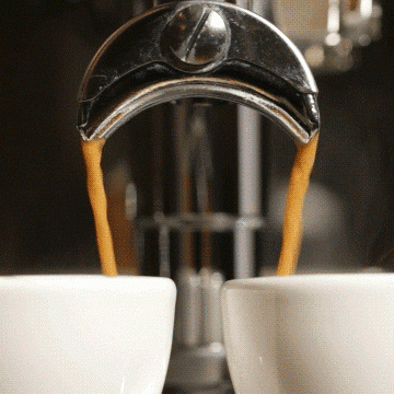Anyone Espresso GIF