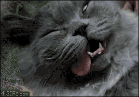 tired wake up GIF