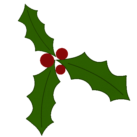 Christmas Noel Sticker