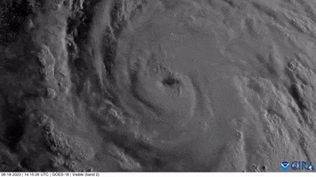 Storming Tropical Storm GIF by Storyful