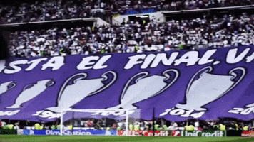 santiago bernabeu GIF by Real Madrid