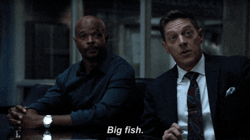 fox GIF by Lethal Weapon