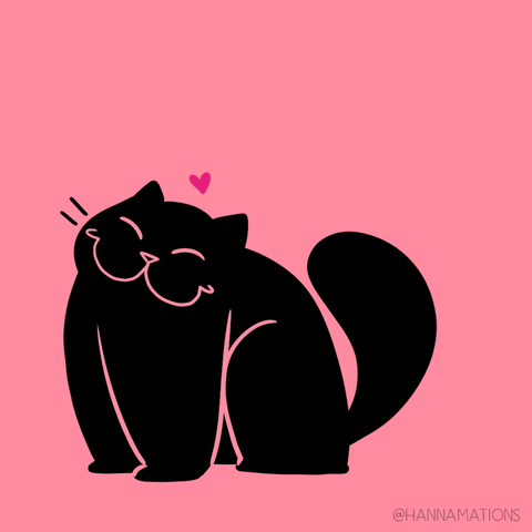 Valentines Day Cat GIF