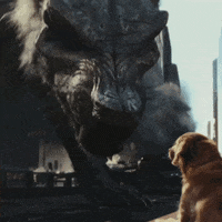 dog scream GIF by Warner Bros. Deutschland