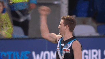 celebration pafc GIF by Port Adelaide FC