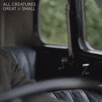 Run Appear GIF by All Creatures Great And Small