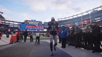 Football Win GIF by New England Patriots