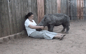 tired baby GIF