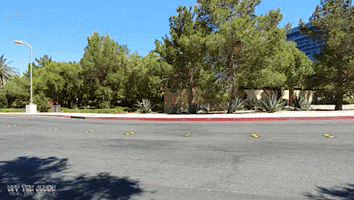 200.gif?cid=fc005b0884205eb99c2837eebc2fef200a0c665970191f45&rid=200.gif&ct=g