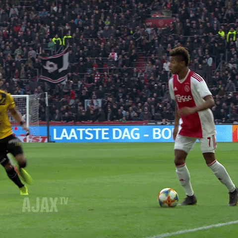 David Samba GIF by AFC Ajax