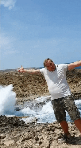 Curacao Cur GIF by Magic of the Caribbean