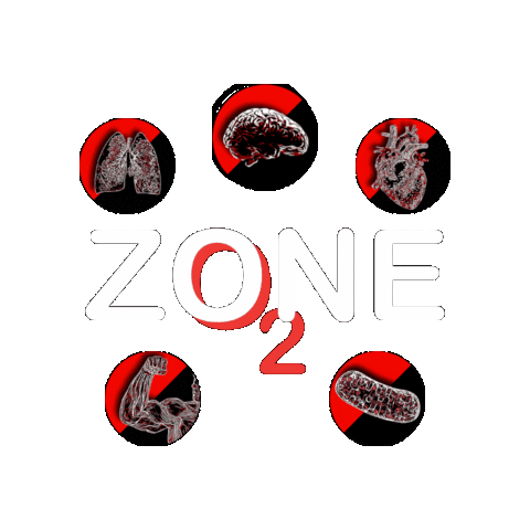 Upside Strength Sticker