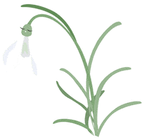 Spring Sticker by poppádesign