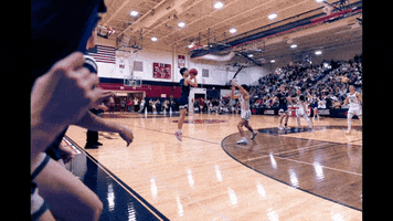 College Basketball GIF by NTHS