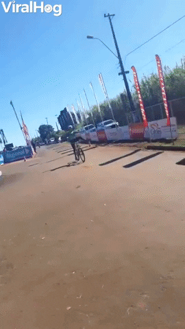 Do Not Celebrate Before Crossing The Finish Line GIF by ViralHog