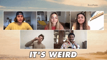 Outer Banks Thats Weird GIF by BuzzFeed