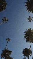 200.gif?cid=fc005b088022cb69e0bc32ce1ec45fedd658c1ef9dffdda6&rid=200.gif&ct=g