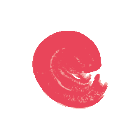 Idus Sticker by 아이디어스