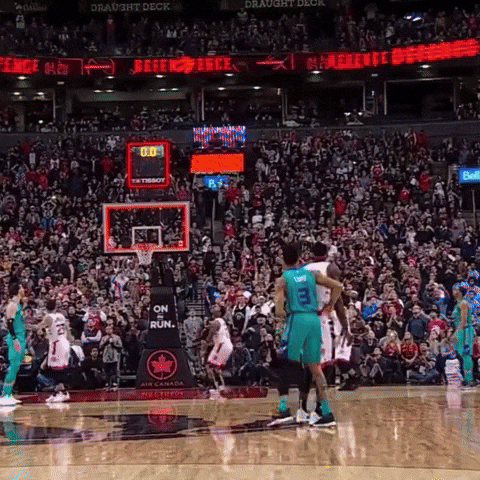 Hornets GIF