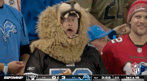 Detroit Fans GIFs - Find & Share on GIPHY
