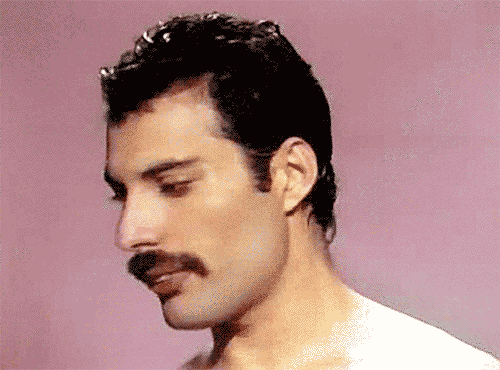 Freddie Mercury GIF
