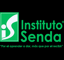 potros knowmad GIF by Senda del Río