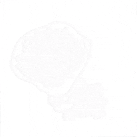 Cat Love GIF by sillynub