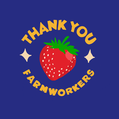 Digital art gif. Strawberry surrounded by text, "Thank you farmworkers."
