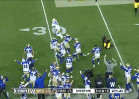 Blue Bombers Win GIF