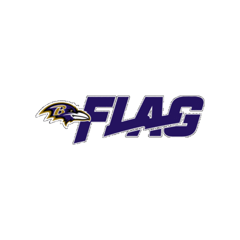 Sticker by Yonkers Force Football