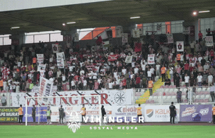Viking Petrol GIF