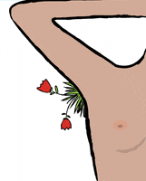 Art Flower GIF by Sam Omo