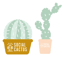 Rocket Coach Sticker by Social Cactus Coaching