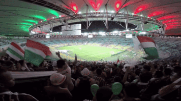 leandroalves  GIF